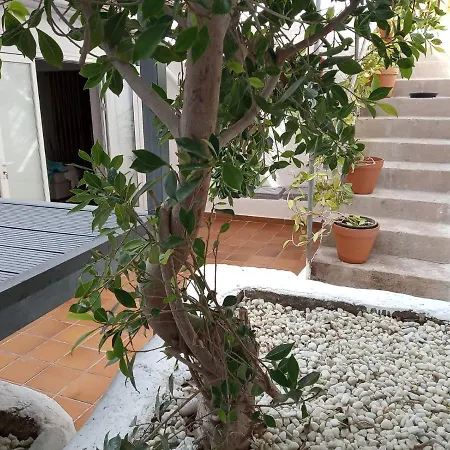 Pretty Canarian House In Alcala, Tenerife Vakantiehuis